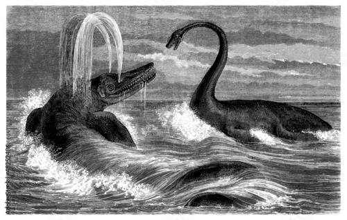 Illustration: Prehistory : Ichtyosaurus & Plesiosaurus - Lias Prehistory : Ichtyosaurus & Plesiosaurus - Lias