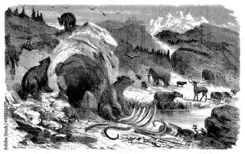 Illustration: Prehistoric Scene : Mammals - Quaternary Prehistoric Scene : Mammals - Quaternary