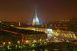 Turin view