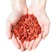Нands holding goji berries
