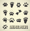 Vector Set: Paw Prints of WIld and Domestic Animals