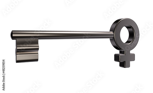 Illustration: female key female key