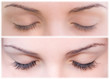 EYE AND FALSE EYELASHES