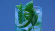 Mojito cocktail closeup on blue background