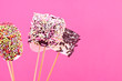 marshmallow pops