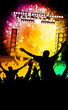 Crowd cheering at the music concert