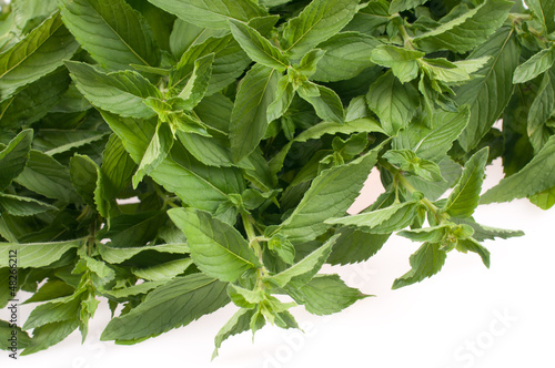 Photo: Mint on white background Mint on white background