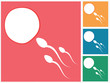 Ovum and spermatozoon. Fertilization