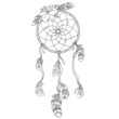 Dreamcatcher vector  illustration