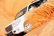 4 by 4 dune bashing is a popular sport of the Arabian desert