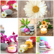 Photo: Collage Wellness Collage Wellness