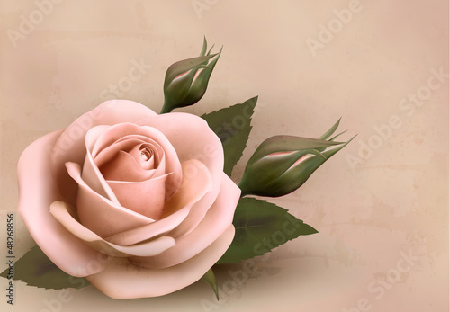 Vector: Retro background with beautiful pink rose with buds. Vector illu Retro background with beautiful pink rose with buds. Vector illu