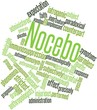 Word cloud for Nocebo
