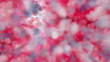 Background Animation - Bokeh - red