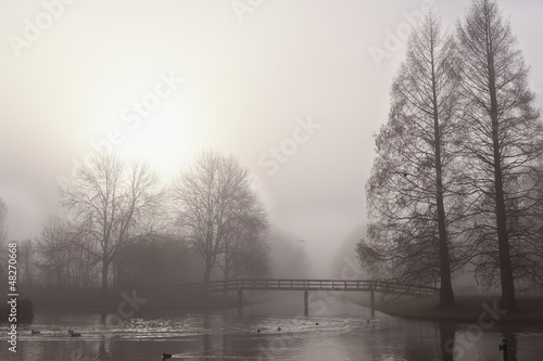 Photo: trees and bridge in fog trees and bridge in fog