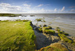 Foto: brake off on the coast brake off on the coast