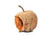 Photo: Apple Apple