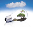 energía renovable