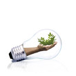 energía renovable, conceptos energía renovable, conceptos