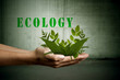 ecology ecology