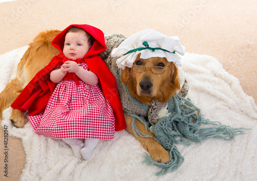 Photo: Baby Little Red Riding Hood with wolf dog as grandma Baby Little Red Riding Hood with wolf dog as grandma