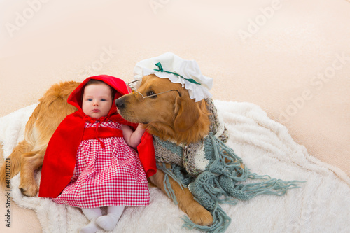 Photo: Baby Little Red Riding Hood with wolf dog as grandma Baby Little Red Riding Hood with wolf dog as grandma
