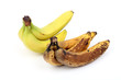 Frische und überreife Bananen