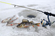 Photo: Winter fishing in the lake Winter fishing in the lake