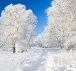 Foto: Winter park in snow Winter park in snow