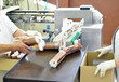 Verpackung und Versand in der Lebensmittelindustrie