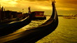 Some attractions of Venice city in Italy