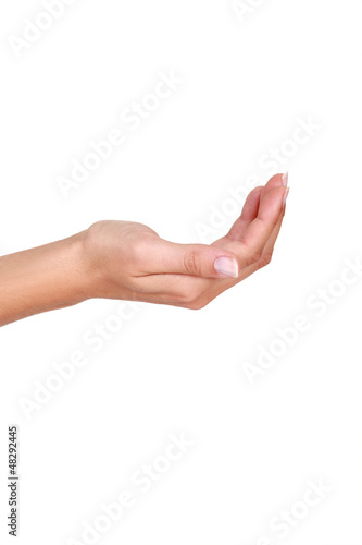 Photo: A cupped hand A cupped hand
