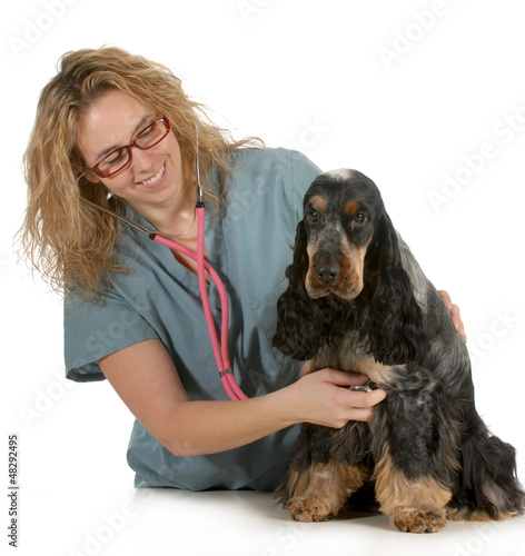 Photo: veterinary care veterinary care