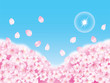 Vector: 桜空 桜空