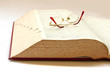 book with reading glass