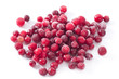 Foto: Frozen Cranberries Frozen Cranberries