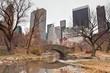 New York - Central Park