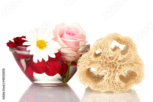 Photo: Loofah isolated on white Loofah isolated on white