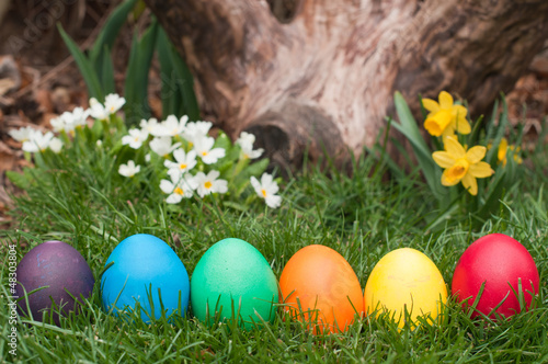 Photo: Easter eggs Easter eggs