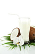 Coconuts with glass of milk, isolated on white