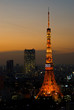東京の夜景と東京タワー