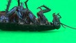 Cockroach lying on it's and moving it's feet