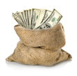 Money in the bag isolated