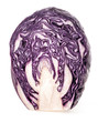 Red cabbage isolated on white background