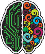 Human brain