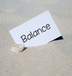 Muschel am Strand BALANCE