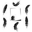 Feather set. Vector