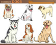 purebred dogs cartoon illustration set