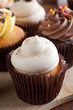 Pretty Gourmet Cupcakes Iced