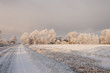 Photo: winter morning winter morning